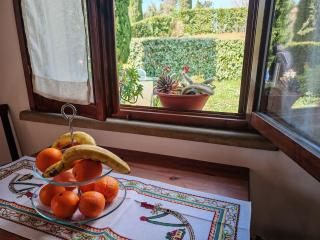 La casa di Arturo Pet friendly Apartments - Riparbella - 6