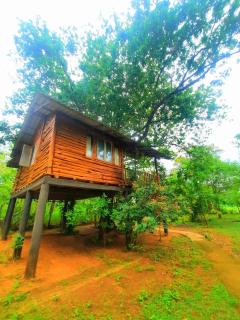 Tree House 4 Nature Lovers - Udawalawe - 8