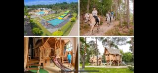 Luxe vakantiehuisje in de Veluwe - Vierhouten - 6