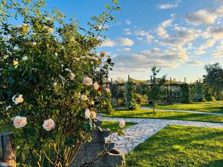 Agriturismo La Terrazza su Farfa - Castelnuovo di Farfa - 7