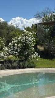 Villa con piscina vicino Roma - Coltodino - 5
