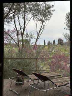 Villa con piscina vicino Roma - Coltodino - 1