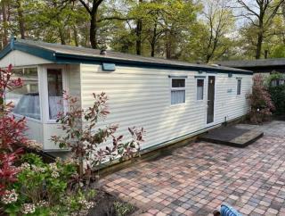 Boshuis Olijfje met heerlijke tuin voor natuurliefhebbers midden in het bos - IJhorst - 0