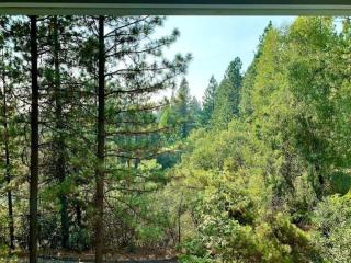 Enjoy the outdoors 1st Apple hill exit Tahoe - Placerville - 6