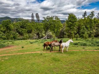 Homestead Ranch near Yosemite with Horses and Chickens - Midpines - 8