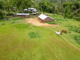 Homestead Ranch near Yosemite with Horses and Chickens - Midpines - 4