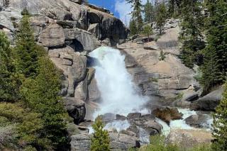 Homestead Ranch near Yosemite with Horses and Chickens - Midpines - 6