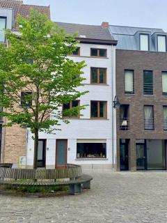 Guanto vakantiewoning - Ronse - 0