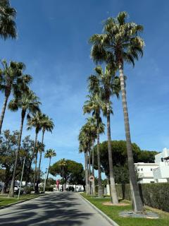 A beautiful Escape - Albufeira - 4