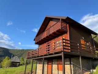 Brvnara Jevtic, Tara - Mokra Gora - 5