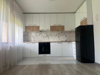 Apartmanii Gajić - 9