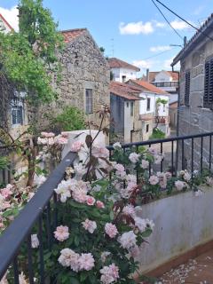 Casa rústica com terraço e jardim - 8