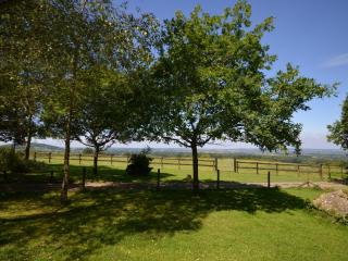 1 Bed in Shaftesbury PPLOD - Shaftesbury - 9