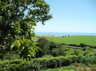 Quinta das Queimadas - Nordeste - 9