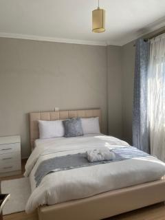 Shikaz Homes Two bedroom - Nairobi - 7