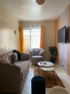 Shikaz Homes Two bedroom - Nairobi - 8
