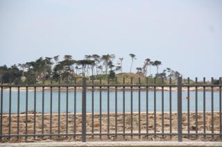 Azea, les pieds dans l'eau - Roscoff - 2