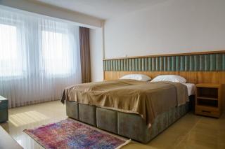Vila ŠAR - Sjenica - 9