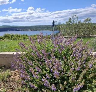 House of Freedom - 2