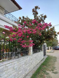ABI's gem - Komotiní - 9