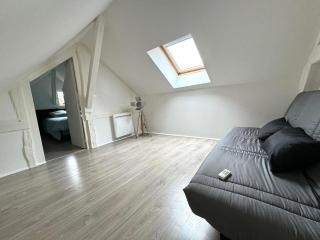Le Duplex de Villeneuve - Villeneuve-sur-Yonne - 6