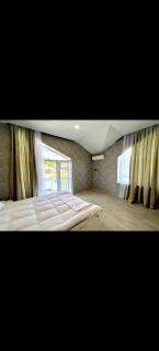 Blue villa Qəbələ - Gabala - 3