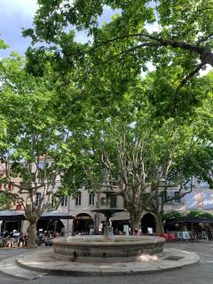 La Picholine - Uzès - 1