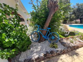 Casa Alcaria - - 5