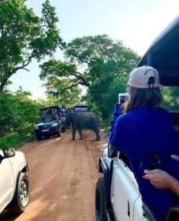 Kumana national park jayasingha - Okanda - 9