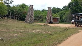 Kumana national park jayasingha - Okanda - 7