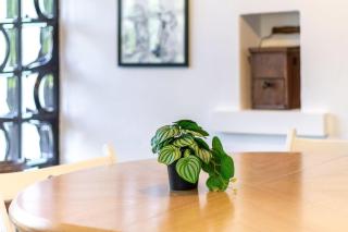 Dream Relax House - 8