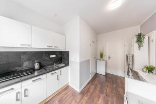 3 LH 6-Schlafzimmer-Apartment - Halle an der Saale - 2