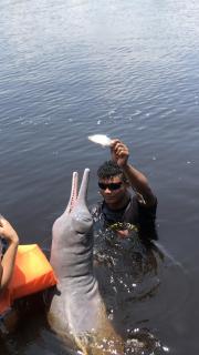 Curupira Amazon Lodge Private Tour Included - Iranduba - 0