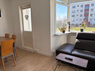 Midnight Sun Apartment - Reykjavik - 1