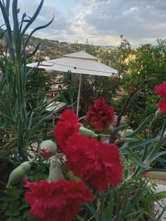 Vjollca`s Home - Sarandë - 7