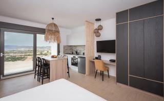 Esperos Panoramic View Suites - Mytakas - 8