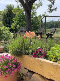Mas Gelabertó - Girona - 6