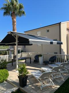 Two Palms - 5