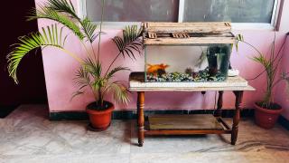 OYO 81239 Shri Vinayaka Inn Rooms - Tiruchchirāppalli - 7