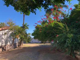 Casa Manglares - Mulegé - 3