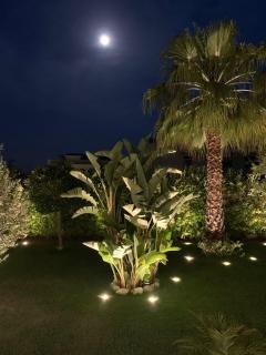 B&B Palma Salentina - Lizzano - 9