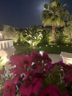 B&B Palma Salentina - Lizzano - 8