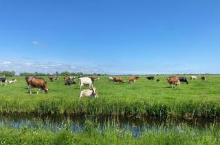 Geniet van de rust en de ruimte - 0