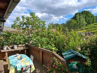 Maison 20' COLMAR Jardin Calme Chevaux Vue - Jungholtz - 5