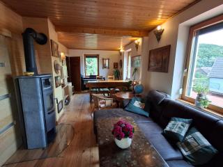 Maison 20' COLMAR Jardin Calme Chevaux Vue - Jungholtz - 4