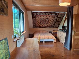 Maison 20' COLMAR Jardin Calme Chevaux Vue - Jungholtz - 3