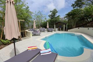 Cap Pavilion, St Lucia 6 bed luxury villa, private pool, gardens and 360' sea views - Gros Islet - 2