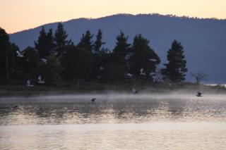 Acacia Snowy Motel - Jindabyne - 1