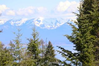 Rare Lakeside home with hot tub & lake views! - Lakeside - 0