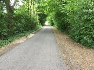 Naturblick - Hennstedt - 4